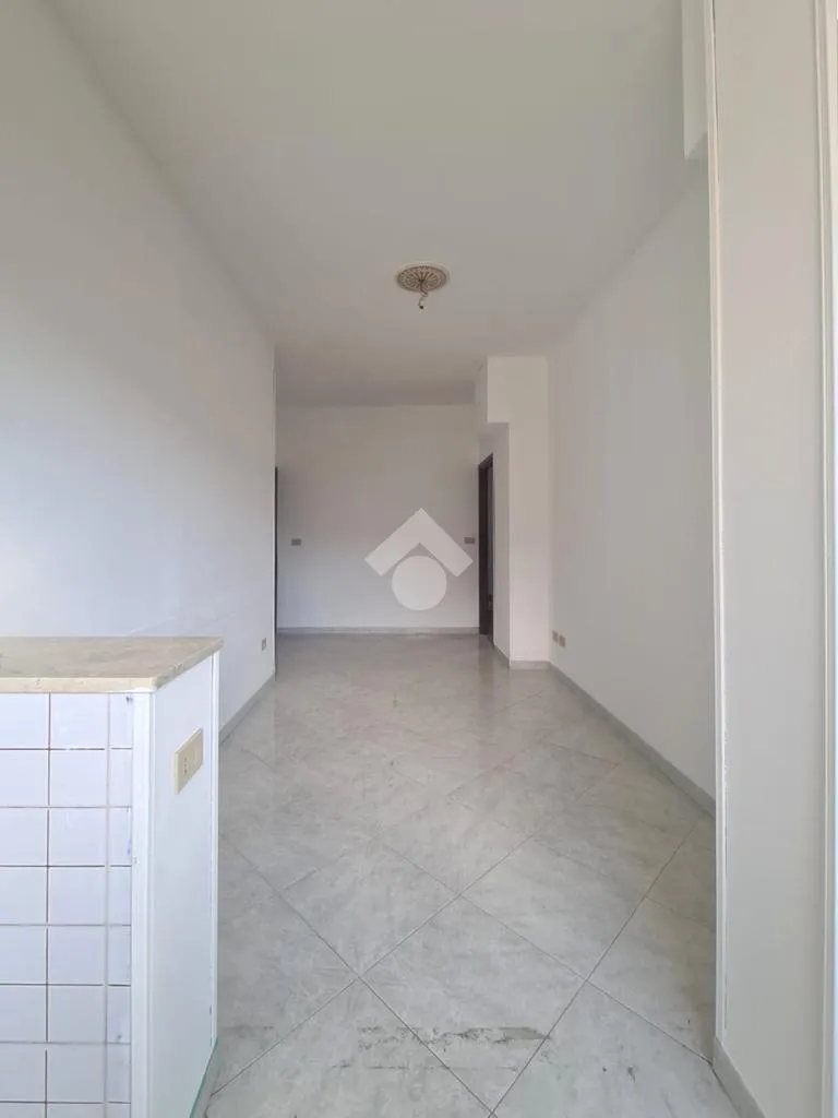 Toad - Spacious Flat with Terraces in Palermo Centre