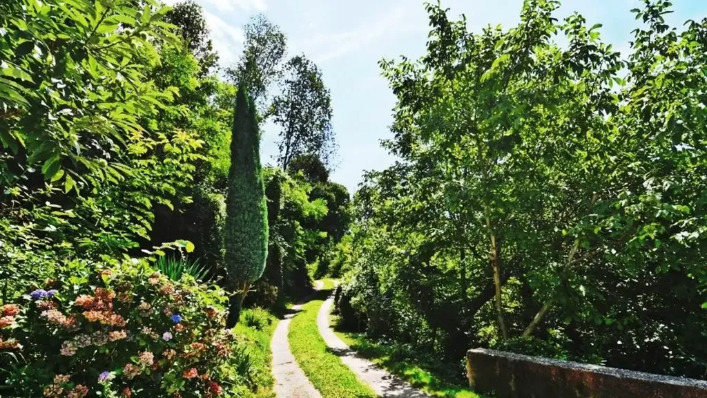 Jardin - Rustic Villa with Garden in Montebelluna