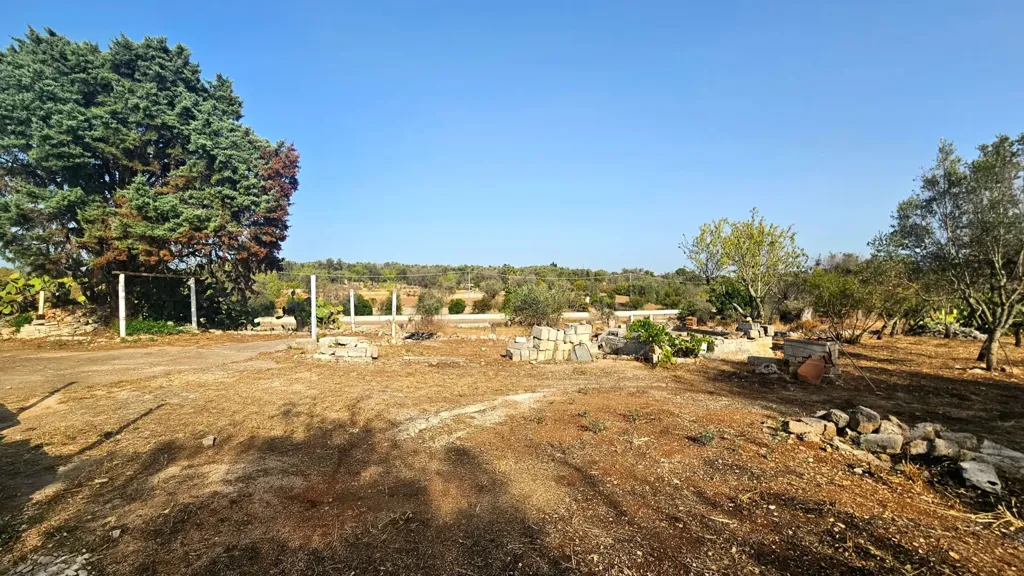 Jardin - Trullo with Olive Grove in Carovigno