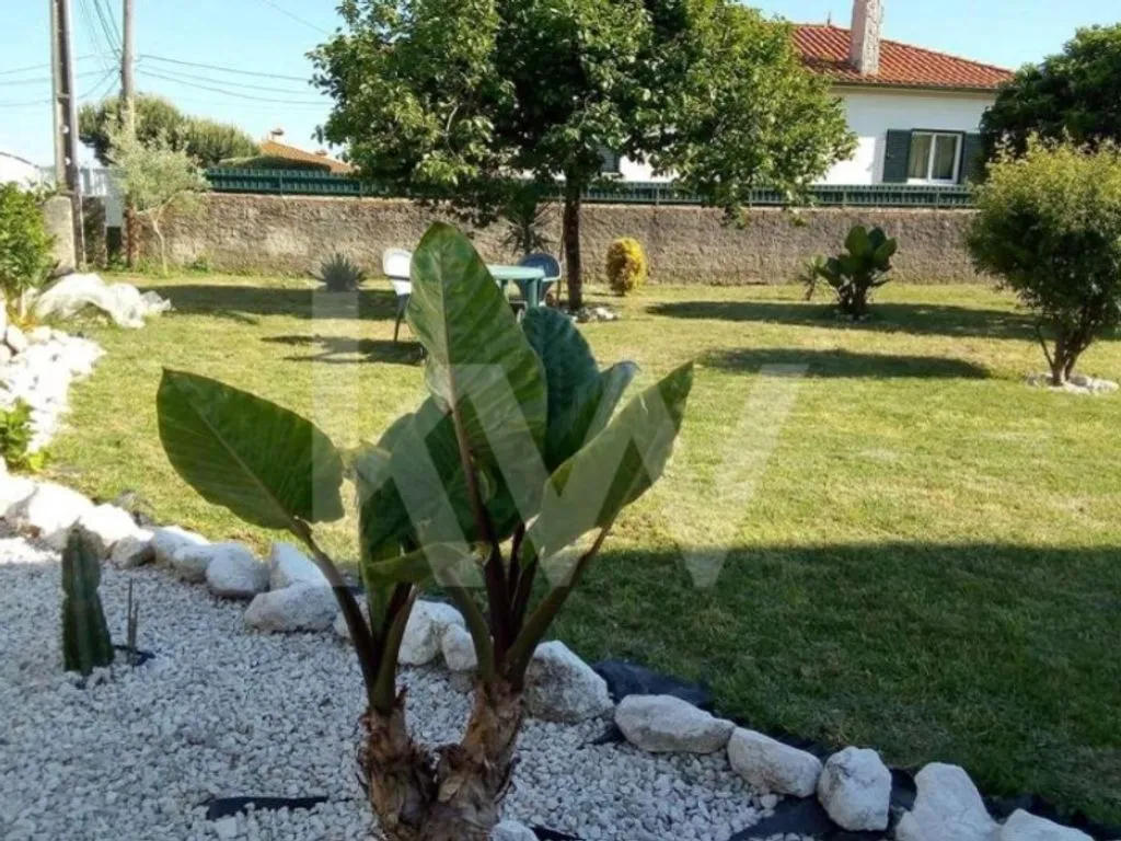 Garden - Luxury House with Garden in Aveiro