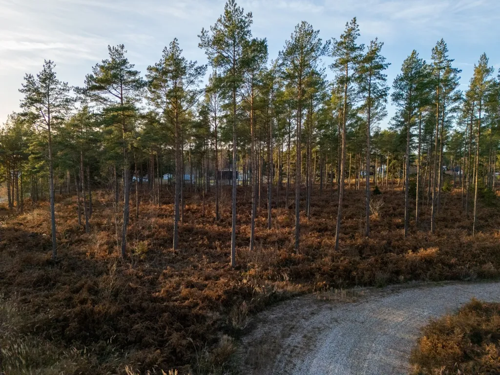 Aed - Unbuilt Plot with Sea Access in Svartdal, Gotland