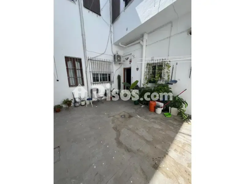 Jardin - Renovated Flat with Patio in El Cerro