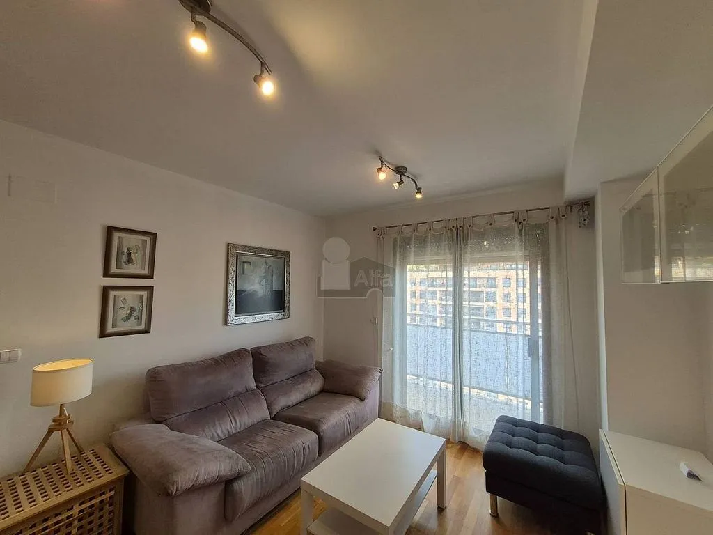 Living Room - 1-Bed Flat with Garden on Avenida Francia