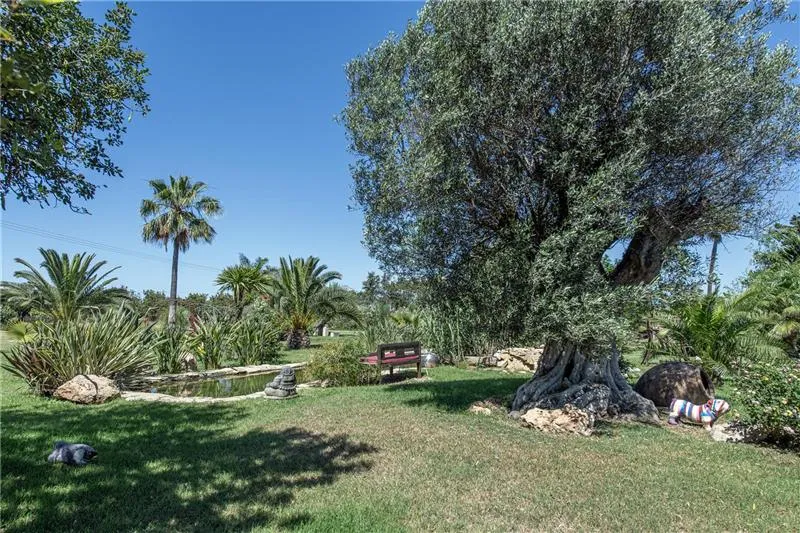 Aed - Rustic Finca with Pool near Palma