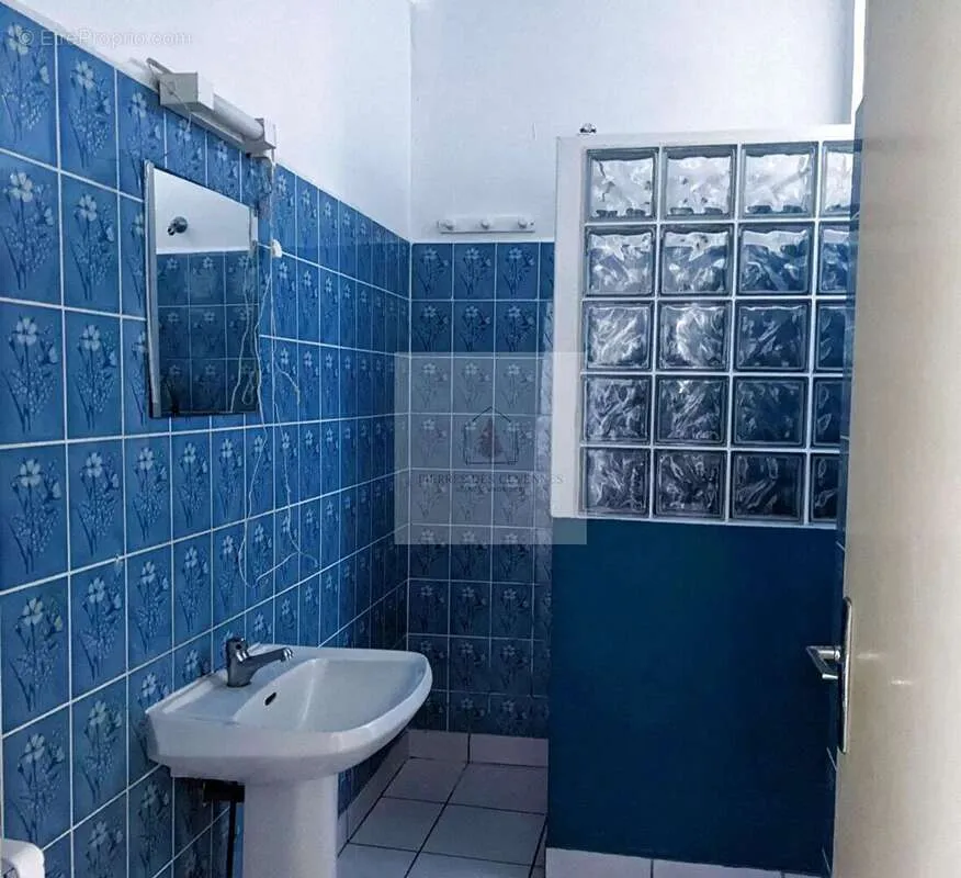 Salles de bain - Immeuble avec 2 Appartements et Garages au Collet de Dèze