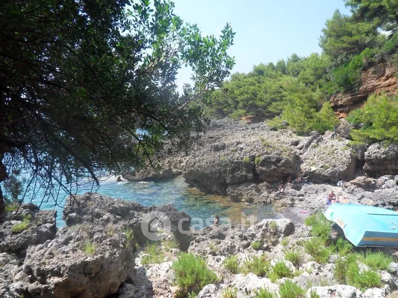 Garden - Villa with Seafront Access in Maratea