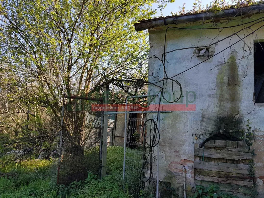 Välivaade - Tuscan Villa with Garden in Collesalvetti