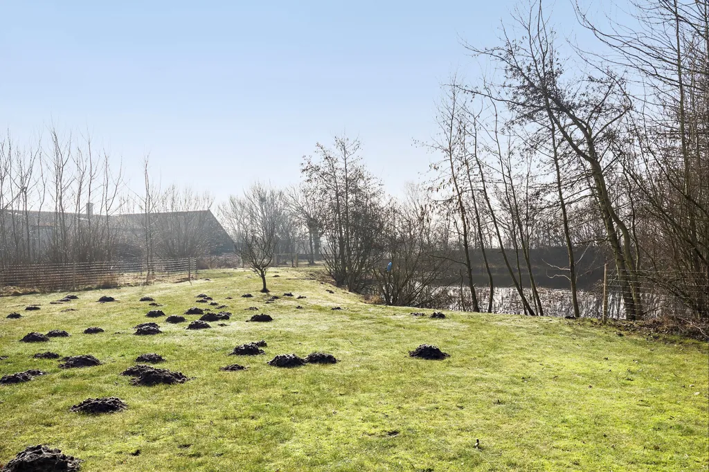 Jardin - Maison 5 pièces à Bøvlingbjerg