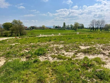 All Photos (4) - Building Land with Garden in Marboz