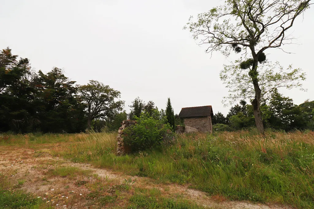 Aed - Prestigious Estate with Multiple Hectares in Les Sorinieres
