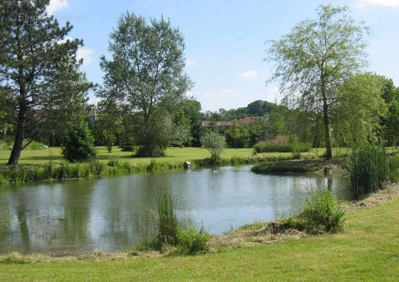 Jardin - Moulin Rénové avec Gîte dans les Vosges
