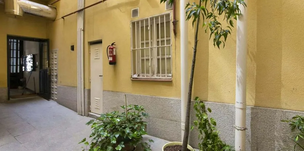 Jardin - Furnished Flat with Terrace in Tirso de Molina Square