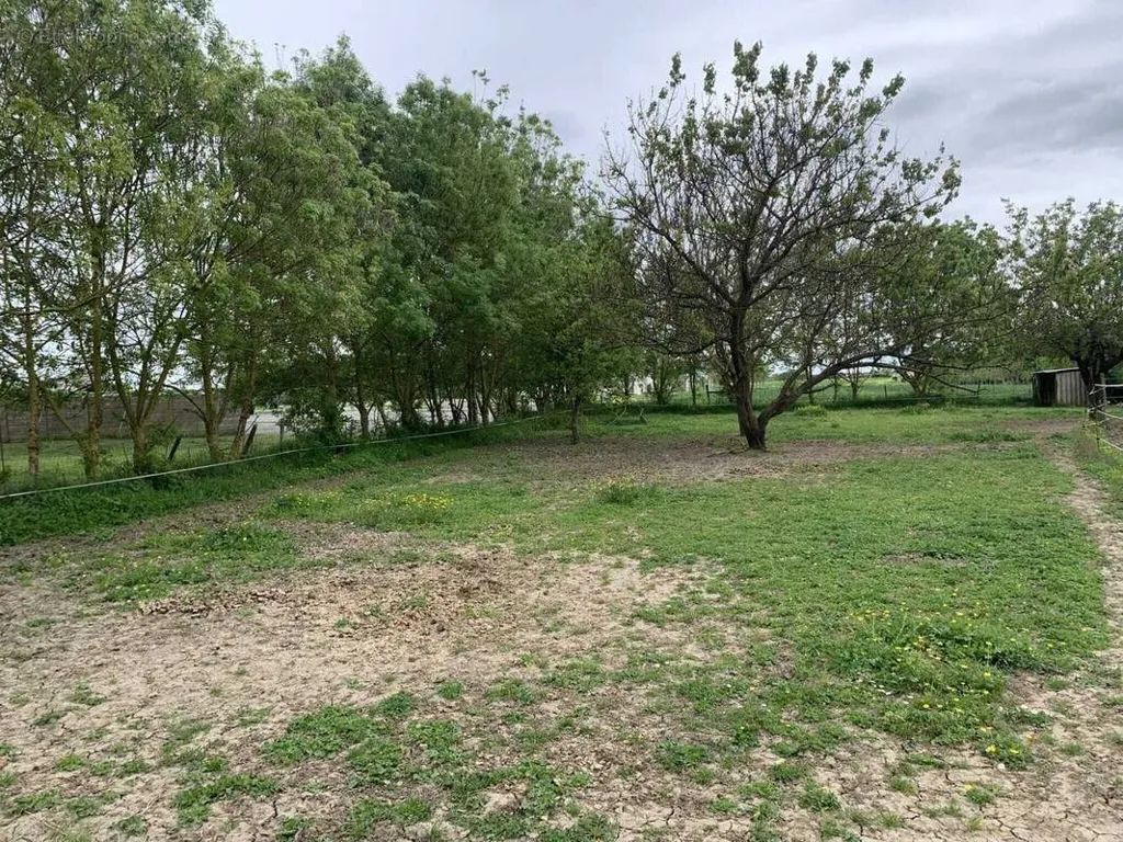 Giardino - Viabilised Plot in Salles-sur-Mer