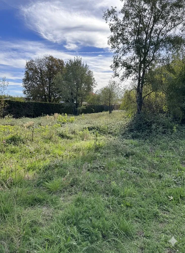 Jardin - Deux Terrains à Bâtir avec Jardin à Albias