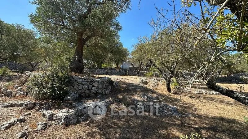 Jardin - Rustic Casale with Pool in Ostuni
