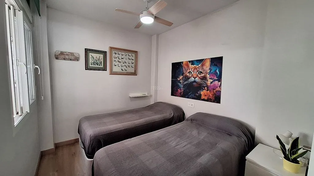 Magamistoad - Modern Bungalow with Pool in El Vergel