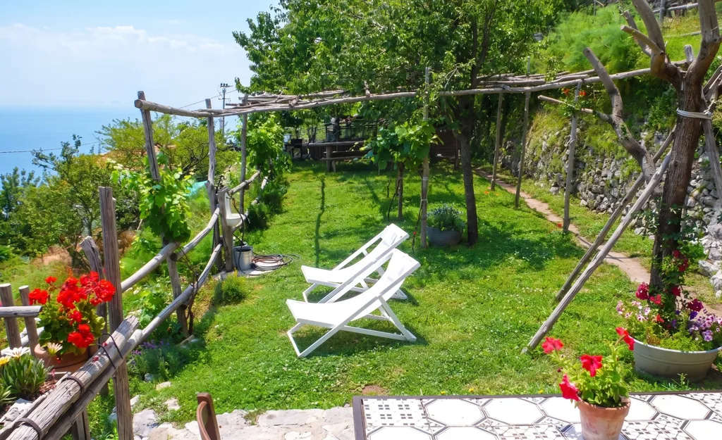 garden