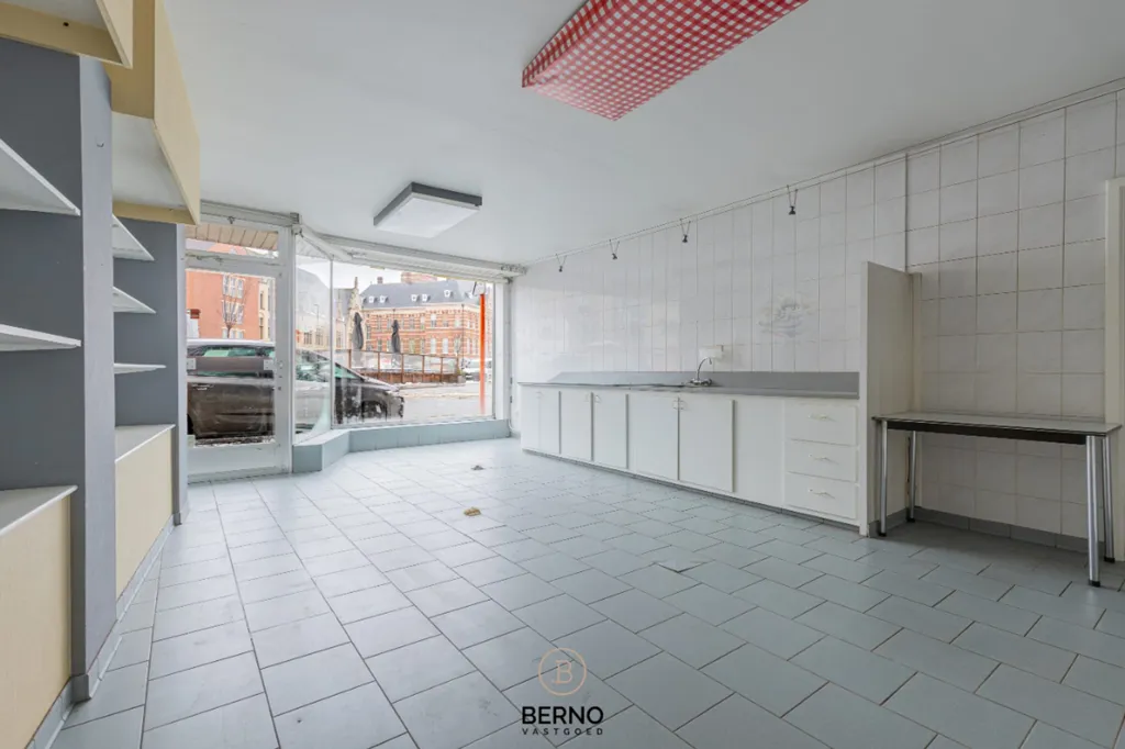 Toad - Versatile Ground Floor Flat in Dendermonde Centre