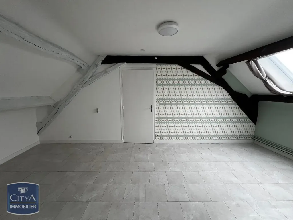 Toad - Mansard Apartment in Le Blanc Centre