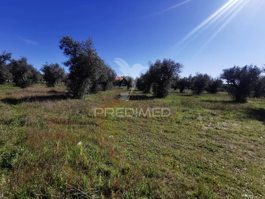 Aed - Urban Plot with Construction Permit in Lisbon