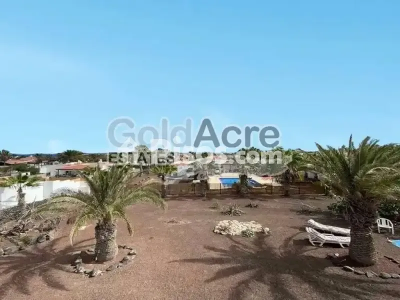 Piscina - Villa with Sea View in Parque Holandes
