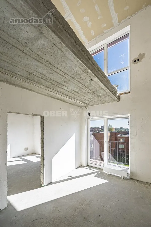 Toad - 2-Bedroom Apartment with River View in Ariogala