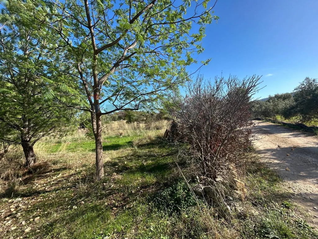 Jardin - Agricultural Land near Priolo Gargallo