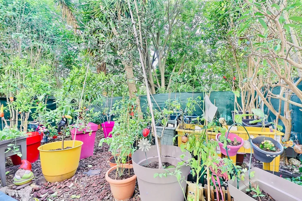 garden