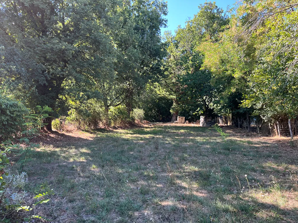 Jardin - Maison en Pierre avec Piscine à Journet
