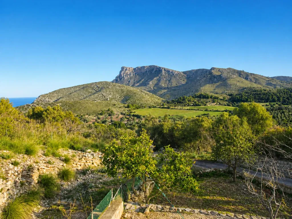 Large Estate with Agrotourism Project in Artà