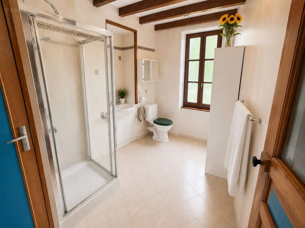 Bathrooms - Charming Maison de Bourg near Vichy