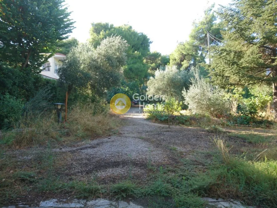 Garden - Detached Villa with Garden in Ekalou