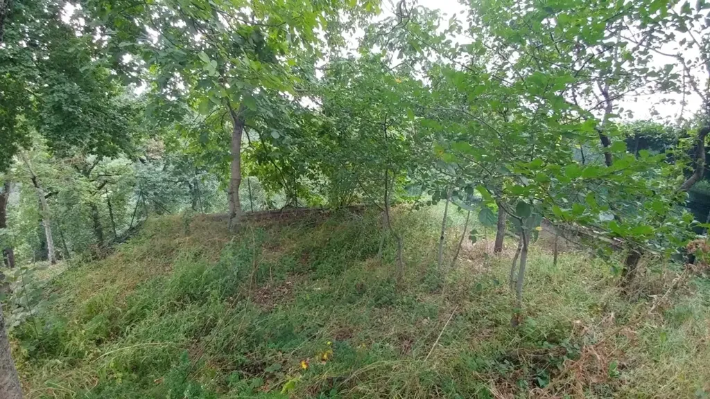 Jardin - Terraced Villa with Private Garden in Zocca