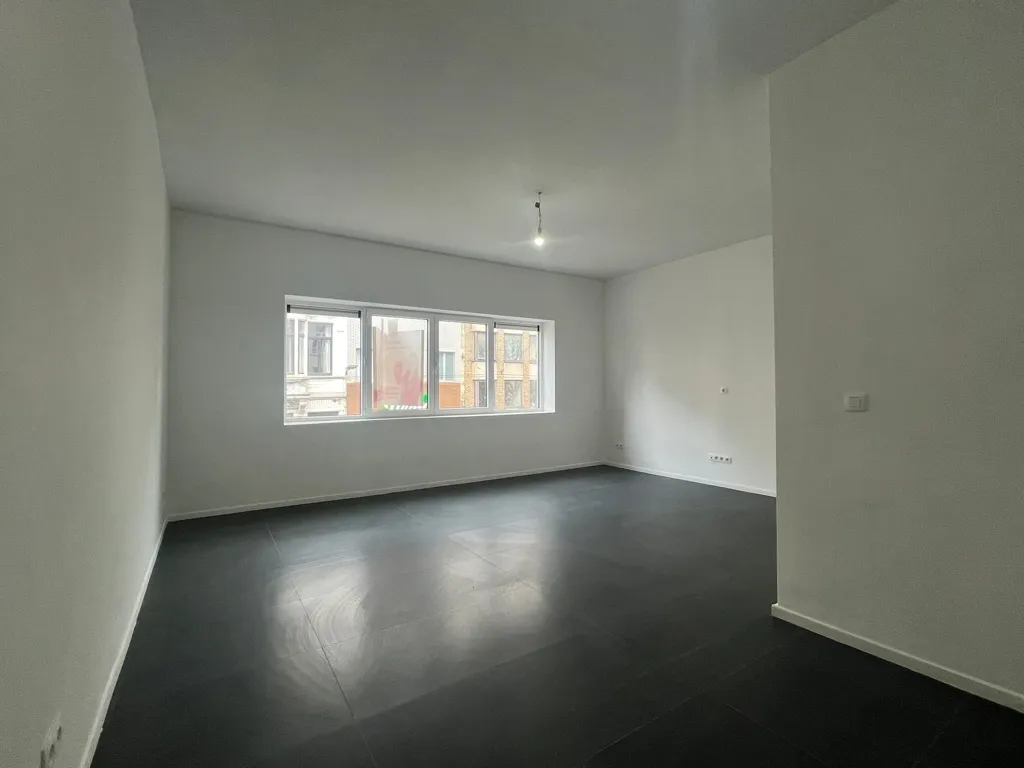 Toad - Fully Renovated Investment Property in Nice