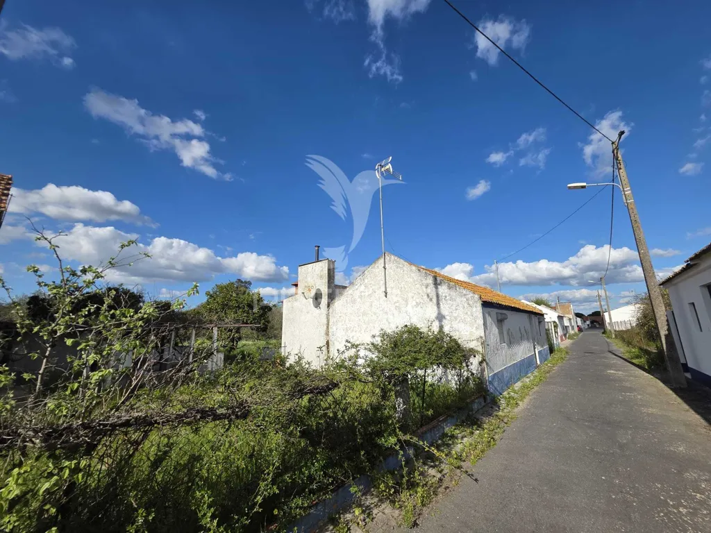 Jardin - Detached House with Fruit Trees in Água Derramada