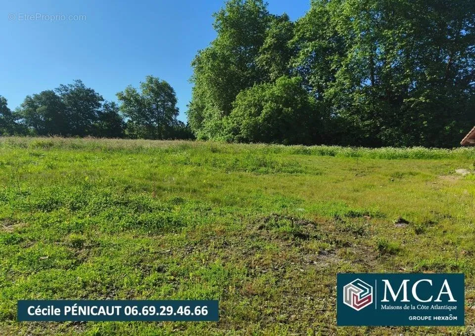 Aed - Buildable Plot with Viability in Saugnac-Et-Cambran