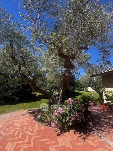 Aed - Villa with Infinity Pool in Viterbo