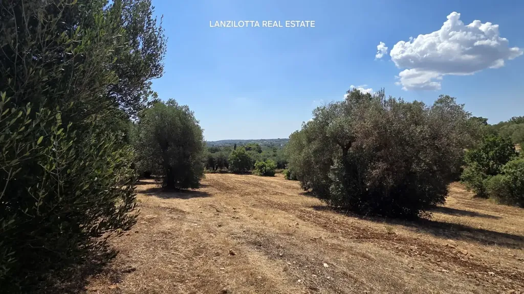 Jardin - Trullo Complex for Renovation in Cisternino