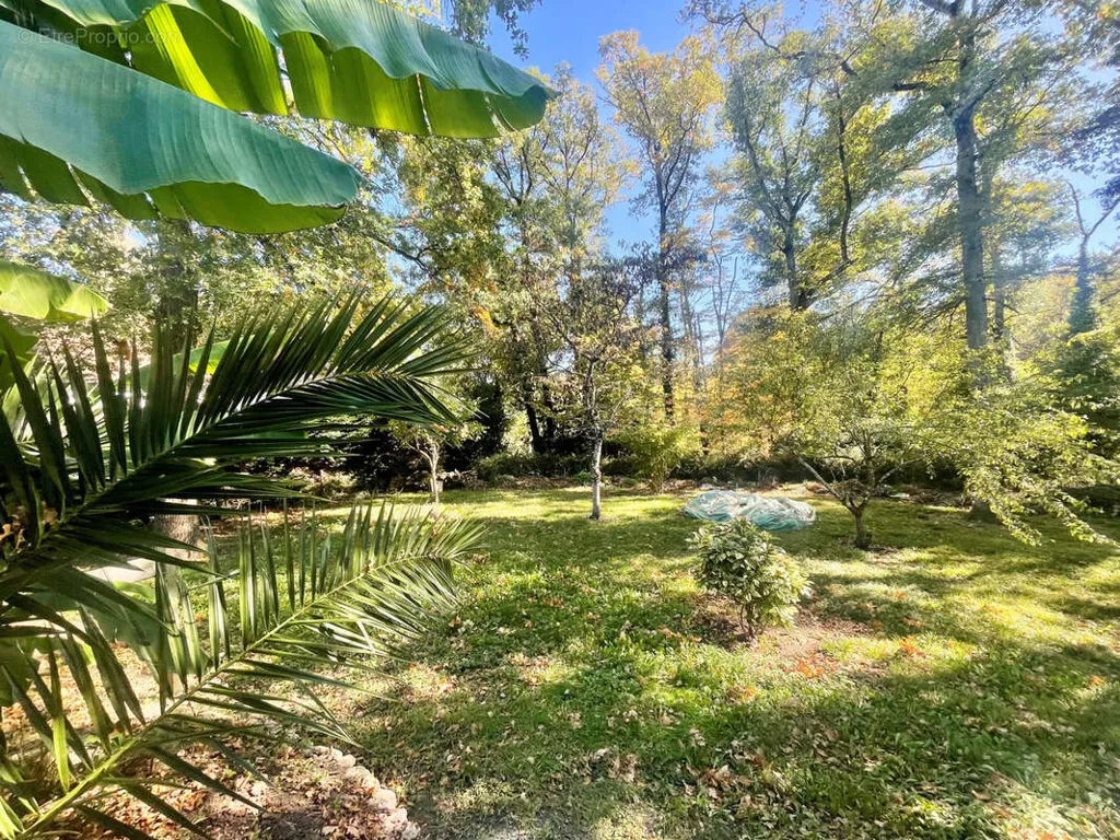 Jardin - Maison de Plain Pied avec Jardin à Esvres