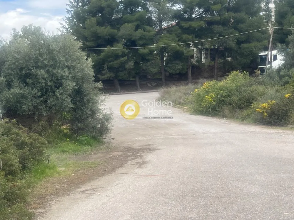 Aed - Corner Plot with Olive Trees in Theologos