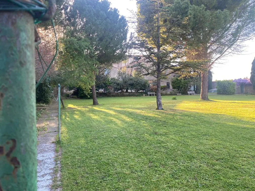 garden