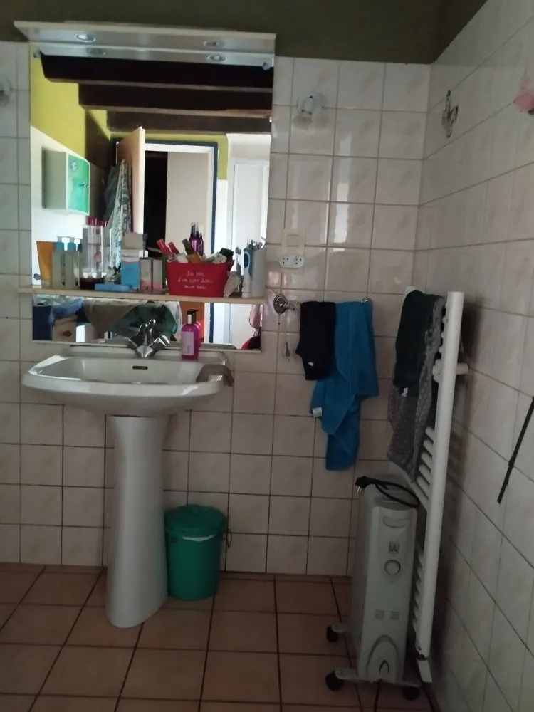 Salles de bain - Longère avec Jardin à Rohan