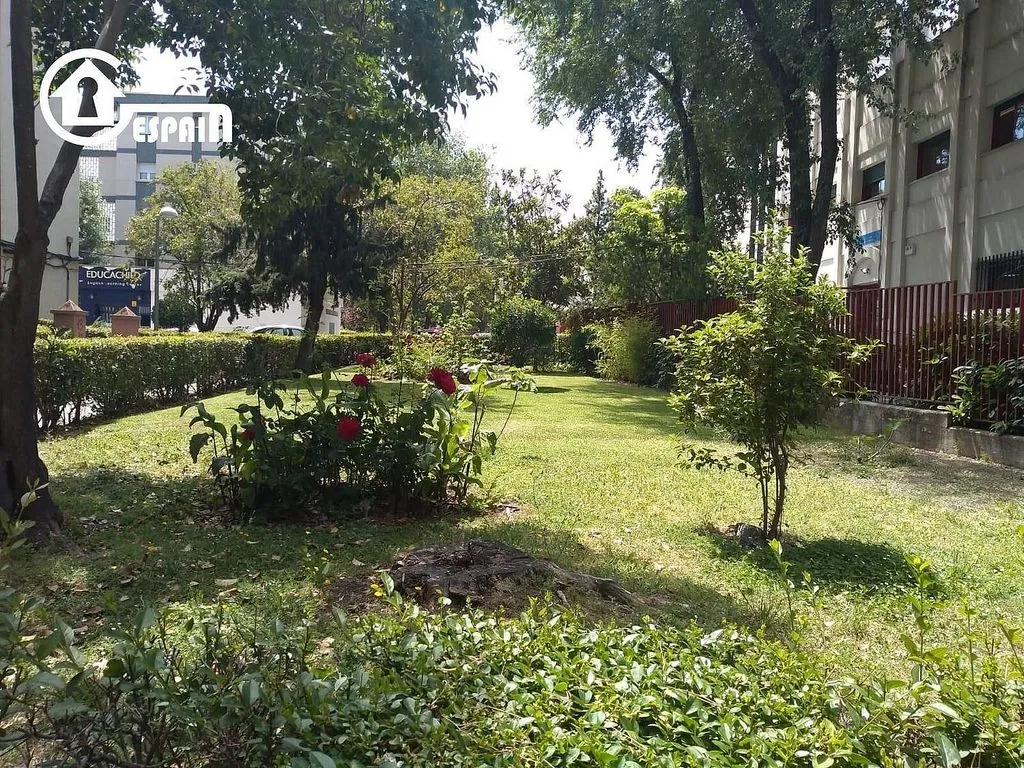 Jardin - Flat with Terrace in San Ignacio-Las Águilas