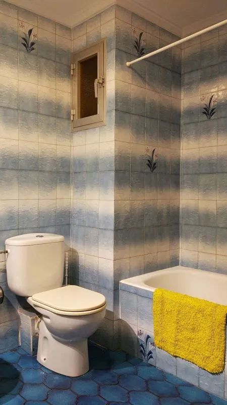 Vannitoad - Furnished Flat with Balcony in Benimaclet