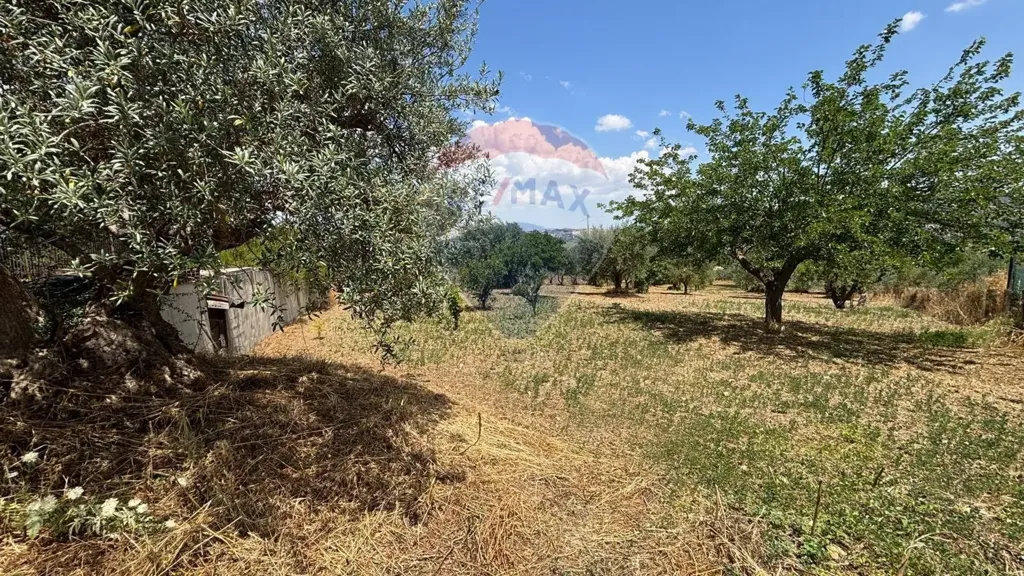 Jardin - Bifamiliar Villa with Garden in Caltanissetta