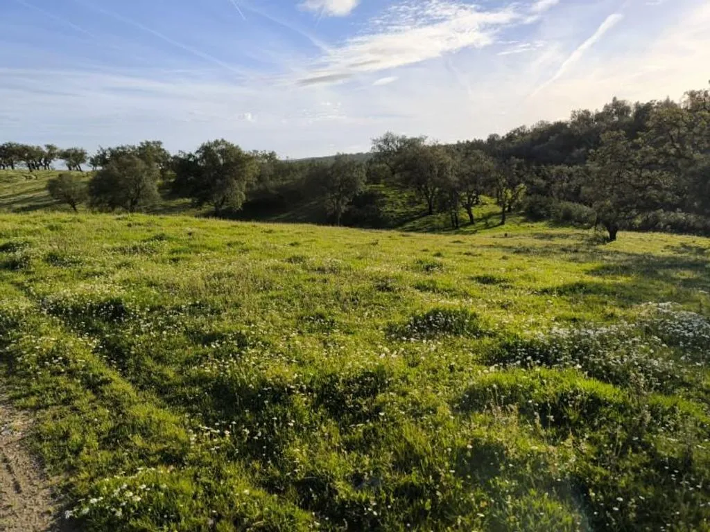 Aed - Luxury Farmhouse with Development Potential in Alentejo