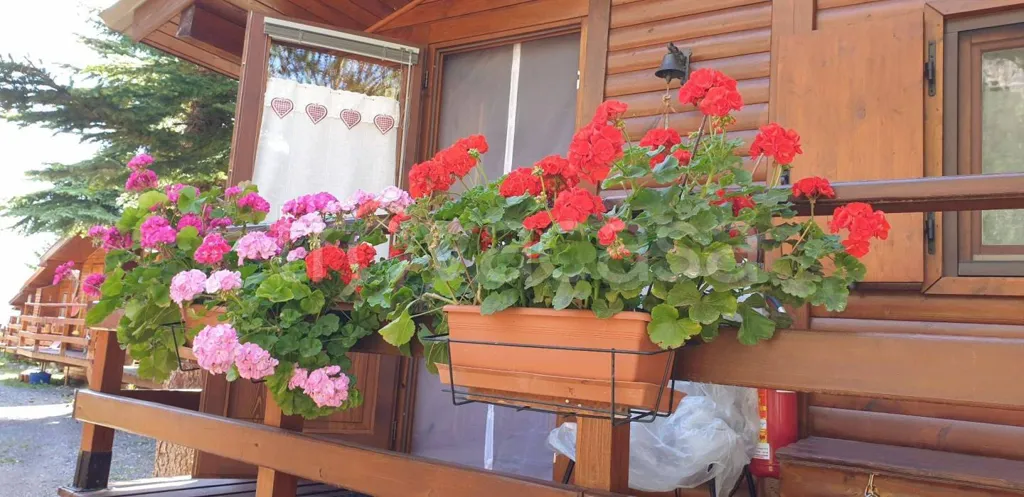 Balcone - Armed Chalet with Ski Access in Claviere