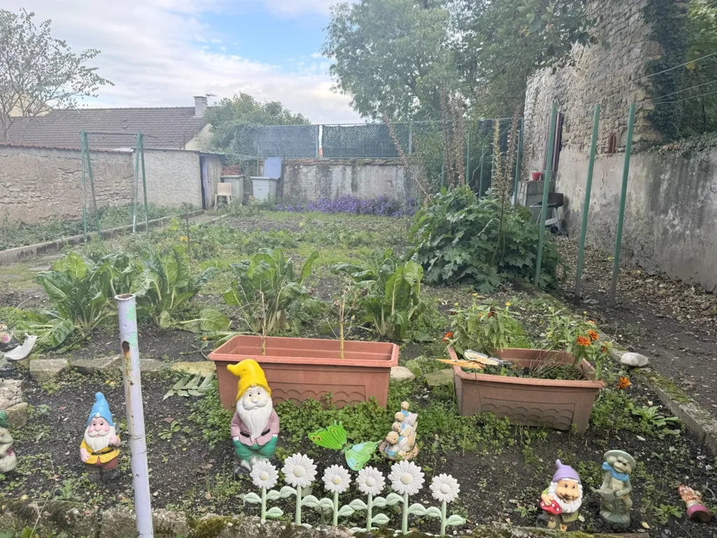 garden