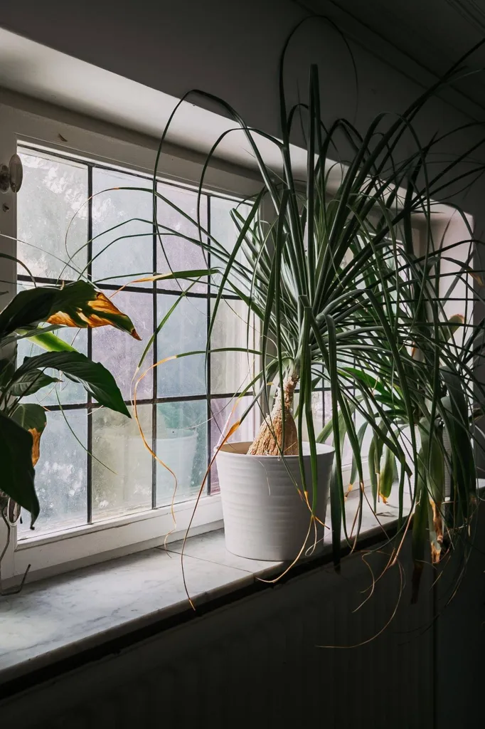 6-toaline maja asukohas Skövde kommun