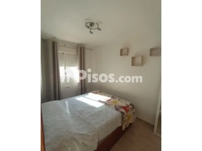 Magamistoad - Apartment with Pool in Centre